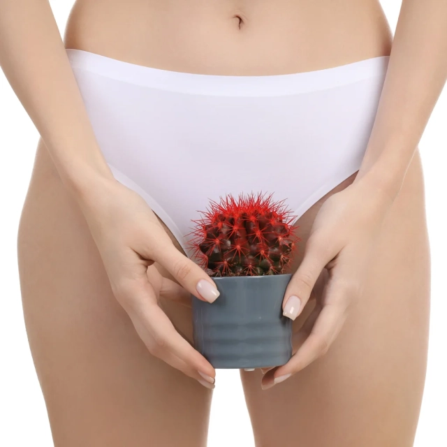 Sécheresse vaginale